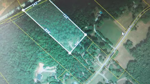 1225 Gamble Dr, Heiskell, TN 37754 photo 19