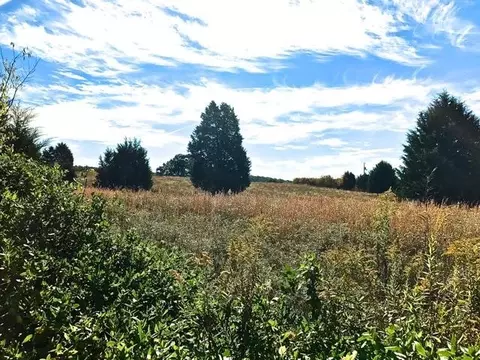 2110 Mansfield Gap Rd, Talbott, TN 37877 photo 6