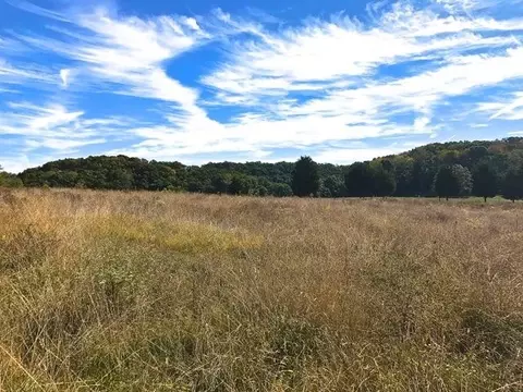 2110 Mansfield Gap Rd, Talbott, TN 37877 photo 8