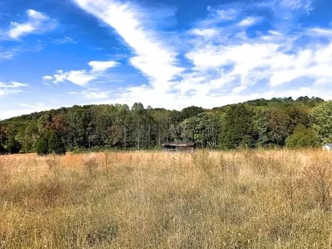 2110 Mansfield Gap Rd, Talbott, TN 37877 photo 7