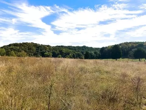 2110 Mansfield Gap Rd, Talbott, TN 37877 photo 9