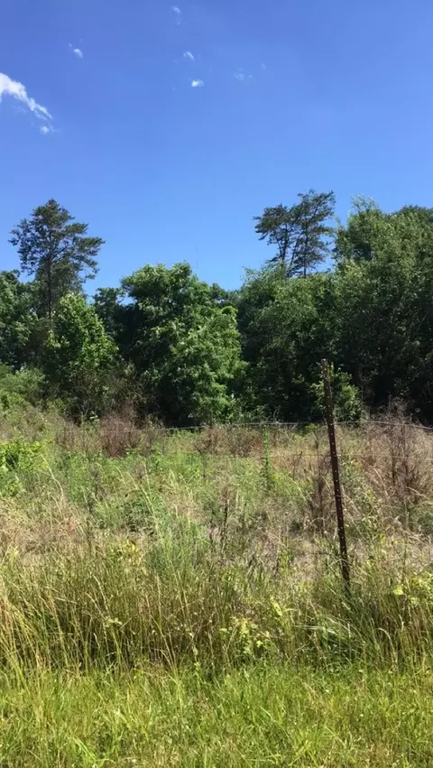 10832 Mountain Rd, Luttrell, TN 37779 photo 12