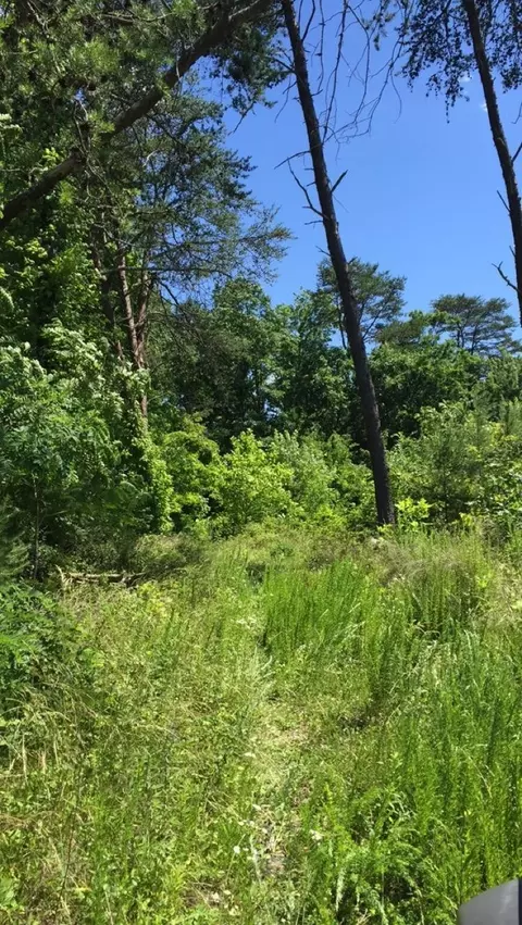 10832 Mountain Rd, Luttrell, TN 37779 photo 8