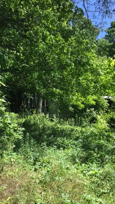 10832 Mountain Rd, Luttrell, TN 37779 photo 3