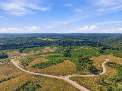 0 Saddleback Rd, Dunlap, TN 37327 photo 3