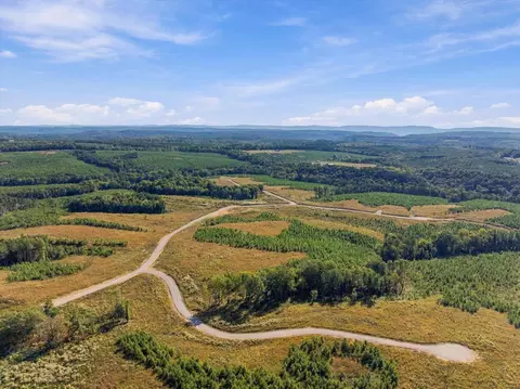 0 Saddleback Rd, Dunlap, TN 37327 photo 5