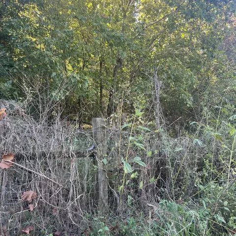 0 Shelbyville Rd, Morrison, TN 37357 photo 6