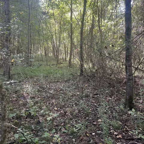0 Shelbyville Rd, Morrison, TN 37357 photo 4
