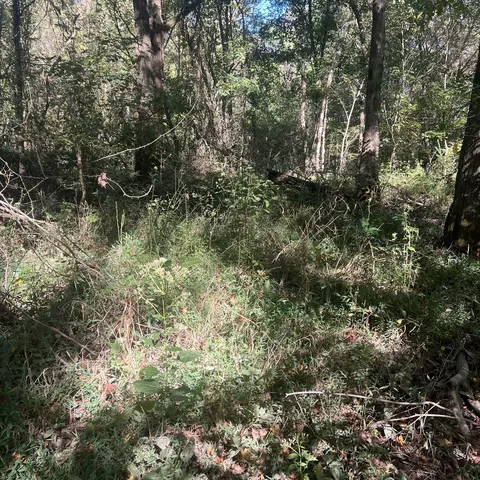 0 Shelbyville Rd, Morrison, TN 37357 photo 2