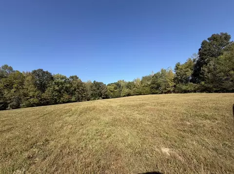 0 Davis Hollow Rd, Minor Hill, TN 38473