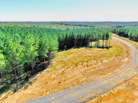 0 Warren Proctor Ln, Erin, TN 37061