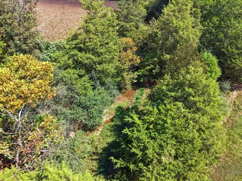 View/Area - 668 Jolley Rd, Doyle, TN 38559 photo 3 of 8