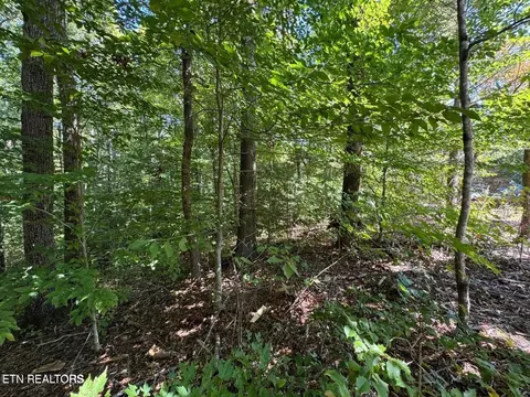 6 Saddle Brook Way, Sevierville, TN 37862