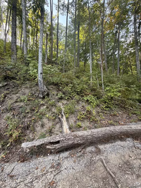 0 Whippoorwill Hill Way, Sevierville, TN 37862