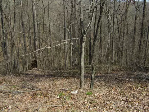 0 Hunters Landing Ln, Smithville, TN 37166