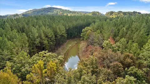 5370 River Bend Rd, Guild, TN 37340 photo 9