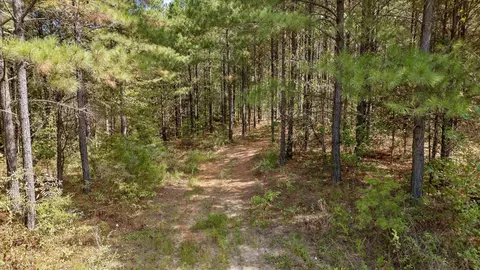 5370 River Bend Rd, Guild, TN 37340 photo 11