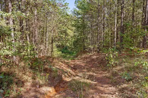5370 River Bend Rd, Guild, TN 37340 photo 19