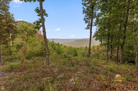 5370 River Bend Rd, Guild, TN 37340 photo 22