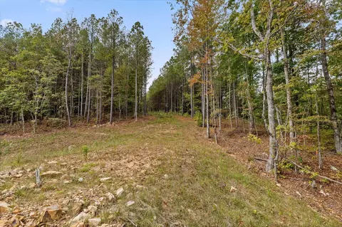 5370 River Bend Rd, Guild, TN 37340 photo 27