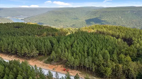 5370 River Bend Rd, Guild, TN 37340 photo 36