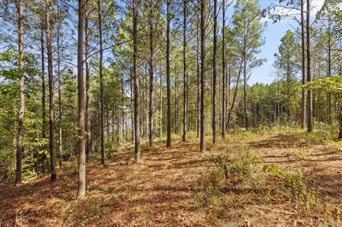 5370 River Bend Rd, Guild, TN 37340 photo 21