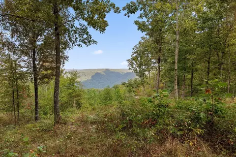 5370 River Bend Rd, Guild, TN 37340 photo 31