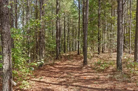 5370 River Bend Rd, Guild, TN 37340 photo 20