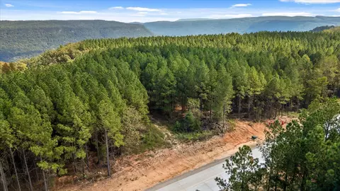 5370 River Bend Rd, Guild, TN 37340 photo 33