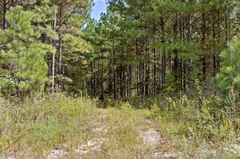 5370 River Bend Rd, Guild, TN 37340 photo 18