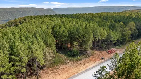 5370 River Bend Rd, Guild, TN 37340 photo 32