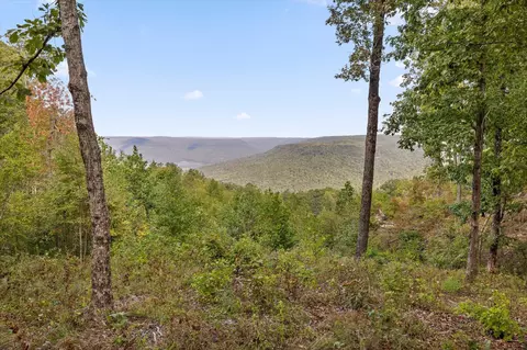 5370 River Bend Rd, Guild, TN 37340 photo 23