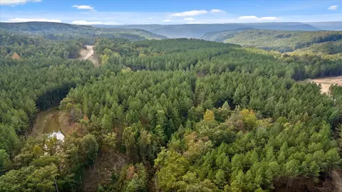 5370 River Bend Rd, Guild, TN 37340 photo 40