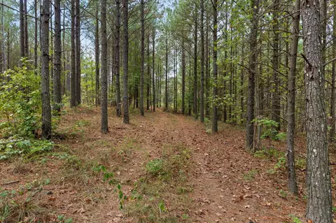 5370 River Bend Rd, Guild, TN 37340 photo 28