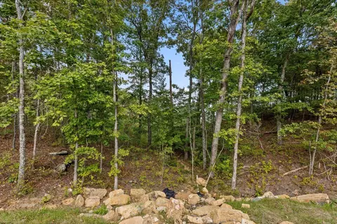 5370 River Bend Rd, Guild, TN 37340 photo 26