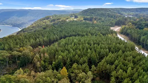 5370 River Bend Rd, Guild, TN 37340 photo 39
