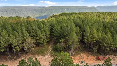 5370 River Bend Rd, Guild, TN 37340 photo 34