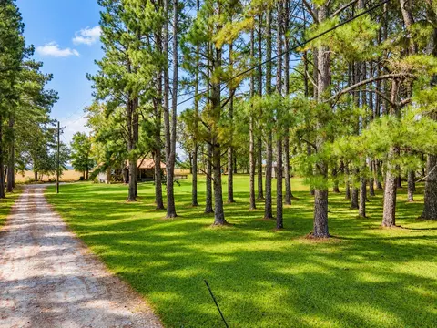 Exterior - 100 Savior Path, Ethridge, TN 38456 photo 13 of 16