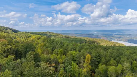 0 Top Shelf, Guild, TN 37340 photo 7