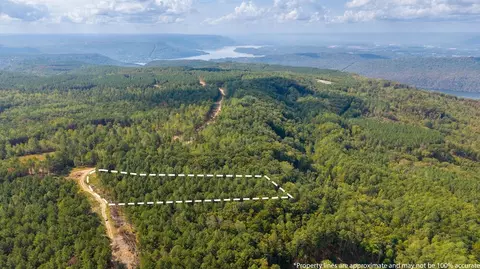 0 Top Shelf, Guild, TN 37340 photo 5