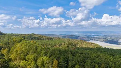 0 Top Shelf, Guild, TN 37340 photo 8