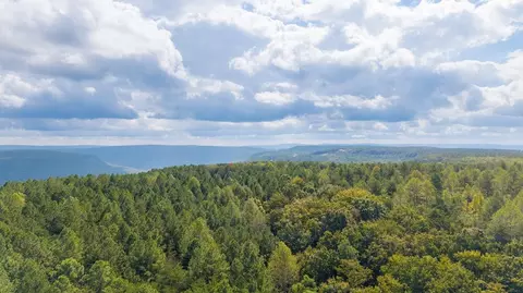 0 Top Shelf, Guild, TN 37340 photo 4