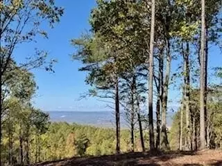 0 Top Shelf St, Guild, TN 37340