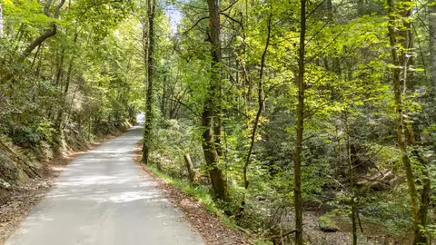 Other - 67 All Good Rd, Cherry Log, GA 30522 photo 4 of 11