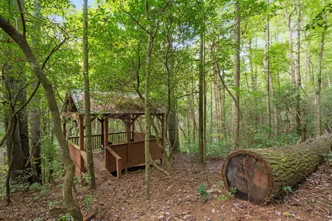 Exterior - 67 All Good Rd, Cherry Log, GA 30522 photo 12 of 27