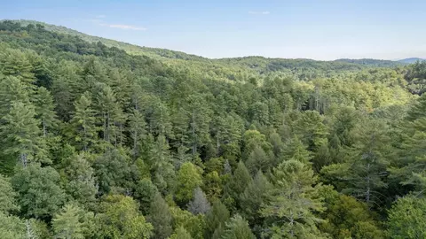 Other - 67 All Good Rd, Cherry Log, GA 30522 photo 11 of 11