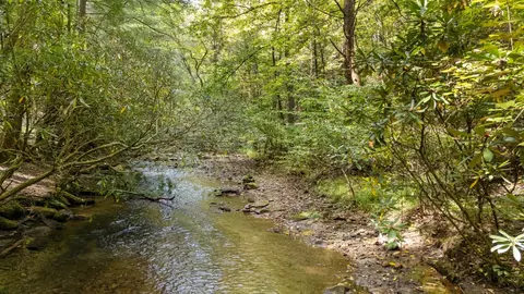 View/Area - 67 All Good Rd, Cherry Log, GA 30522 photo 1 of 3