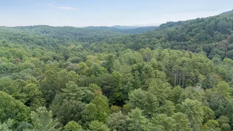 View/Area - 67 All Good Rd, Cherry Log, GA 30522 photo 3 of 3