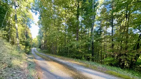 8 Berry Clark Dr, Gatlinburg, TN 37738