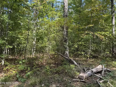806 Horse Creek Rd, Jamestown, TN 38556